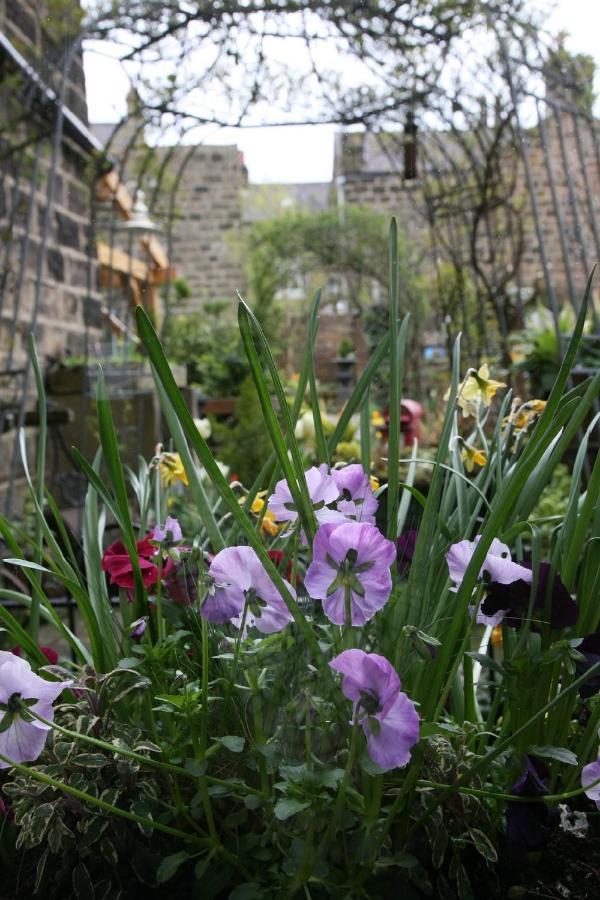Alexandra Court Bed & Breakfast Harrogate Ngoại thất bức ảnh